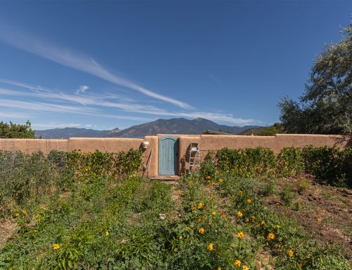 Nurturing Roots: The Crucial Role of Small Farms and Farmers Markets in Northern New Mexico