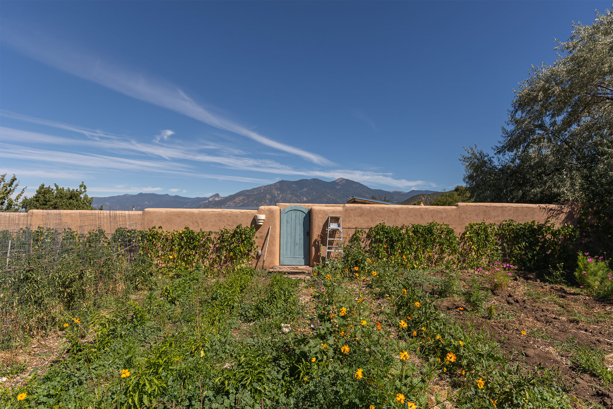 taos New Mexico organic farm earthship homestead